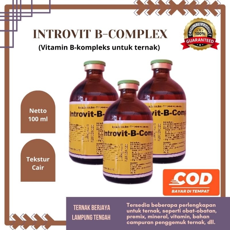 Introvit-B-Complex 100 ml - injeksi vitamin b-kompleks