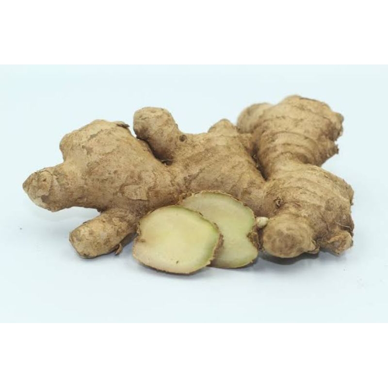 

Jahe Zingiber Officinale 100 Gr