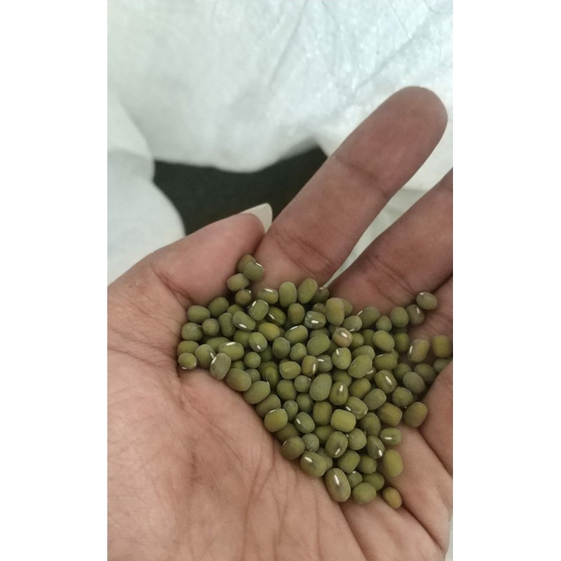 

Kacang Hijau Bubur 1kg