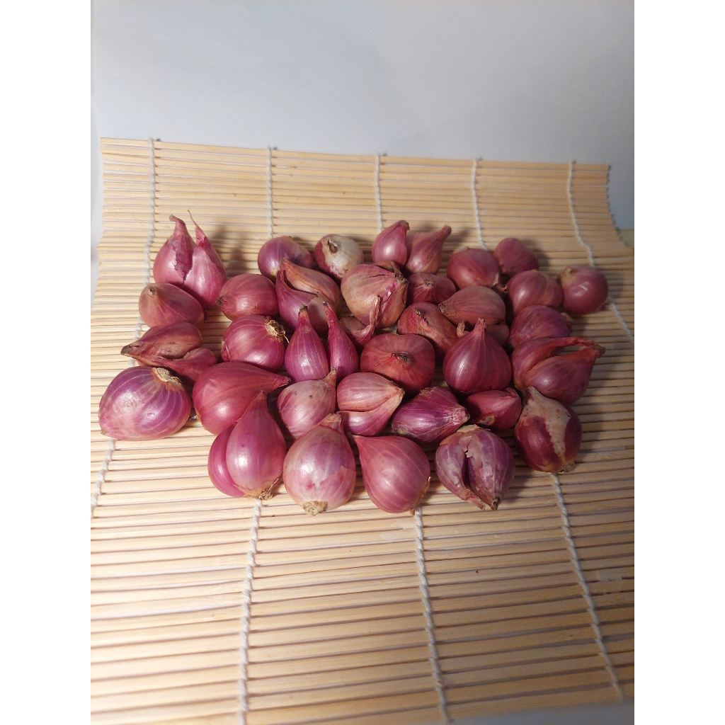 

Bawang Merah Probolinggo [Kecil Campur] - 1KG