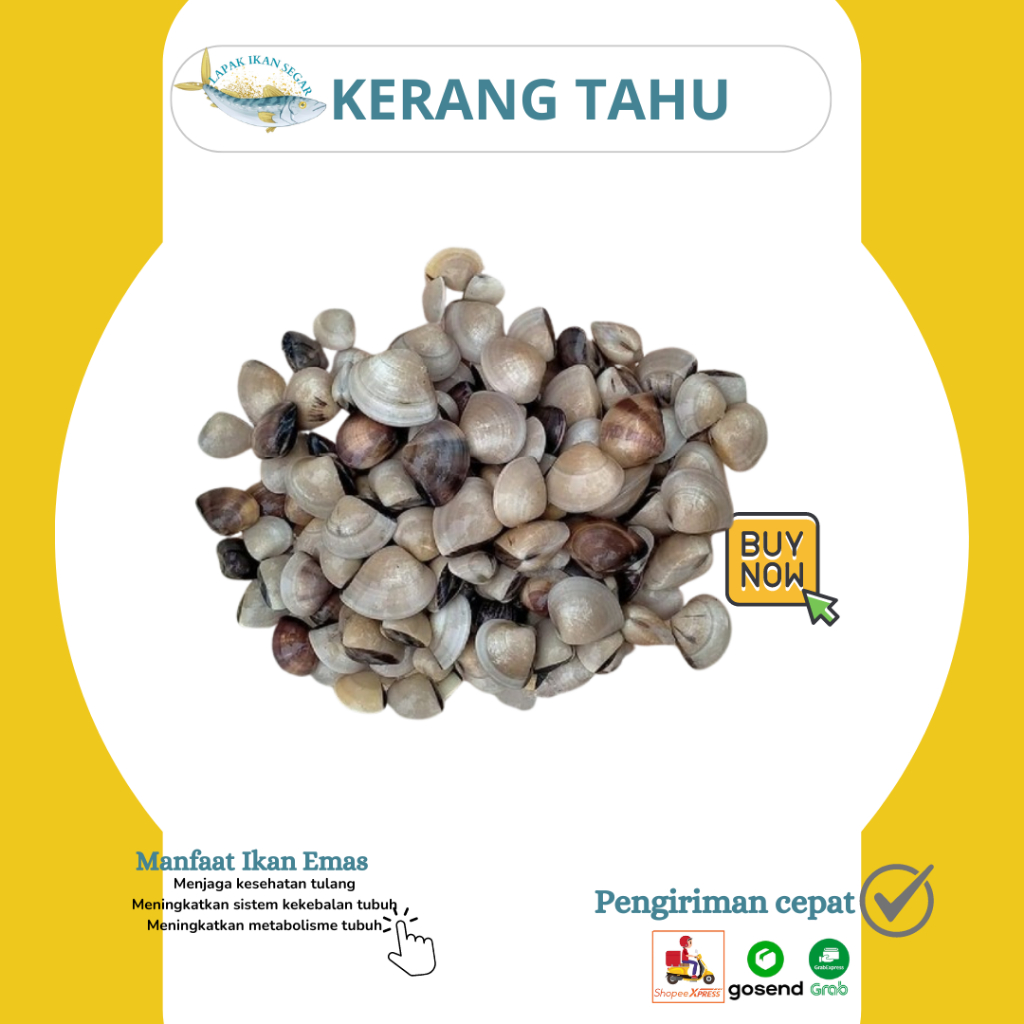 

Kerang Tahu/Kerang Kepah segar 1Kg