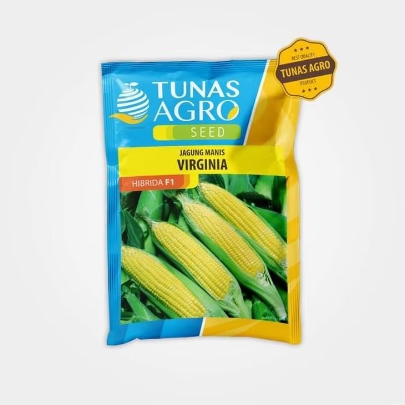 JAGUNG MANIS VIRGINIA || TUNAS AGRO