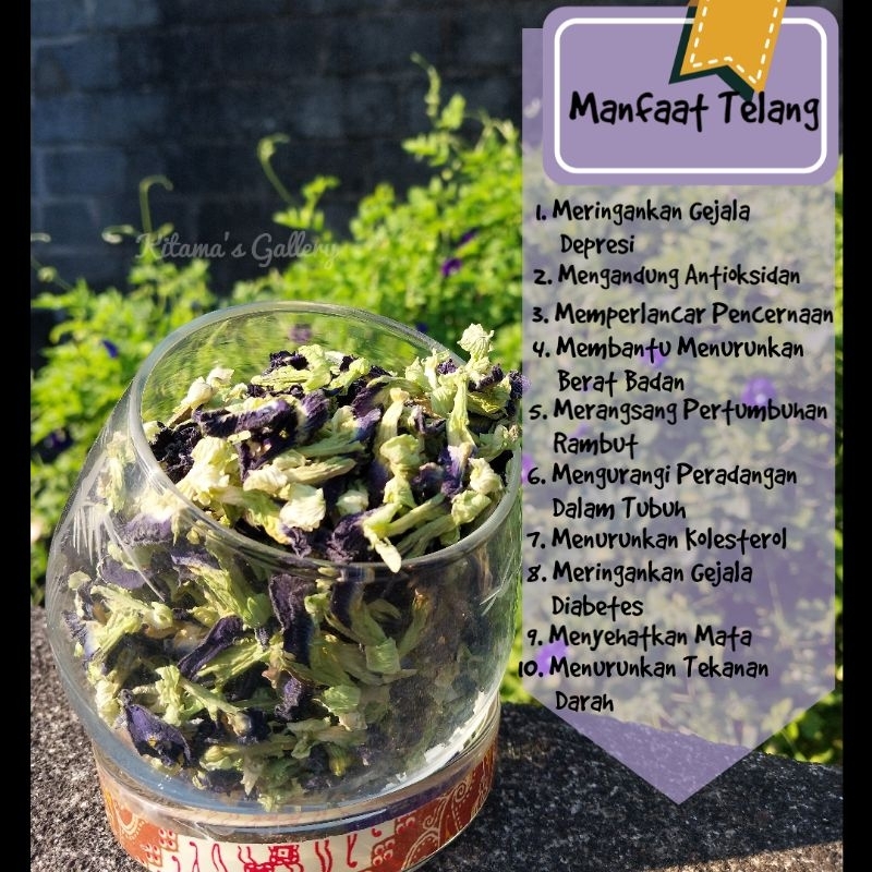 

Bunga Telang/Butterfly Pea Kering Organik Hasil Kebun Kakung/Teh Telang/Pewarna Alami