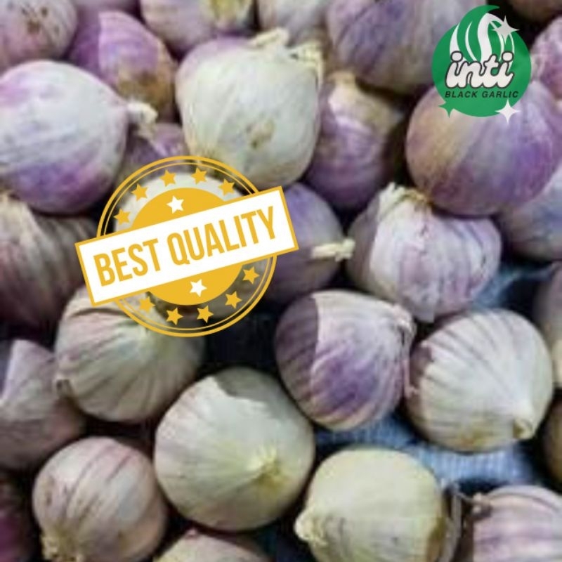 

Bawang Putih Tunggal Super 300gr Single Garlic Bawang Fresh