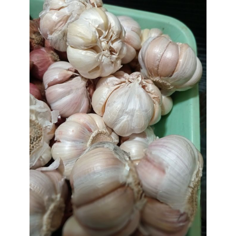 

Bawang putih 250 gram besar dan sedang /bisa kupas