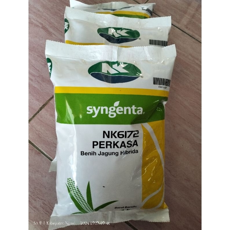 benih JAGUNG HIBRIDA NK 6172 PERKASA