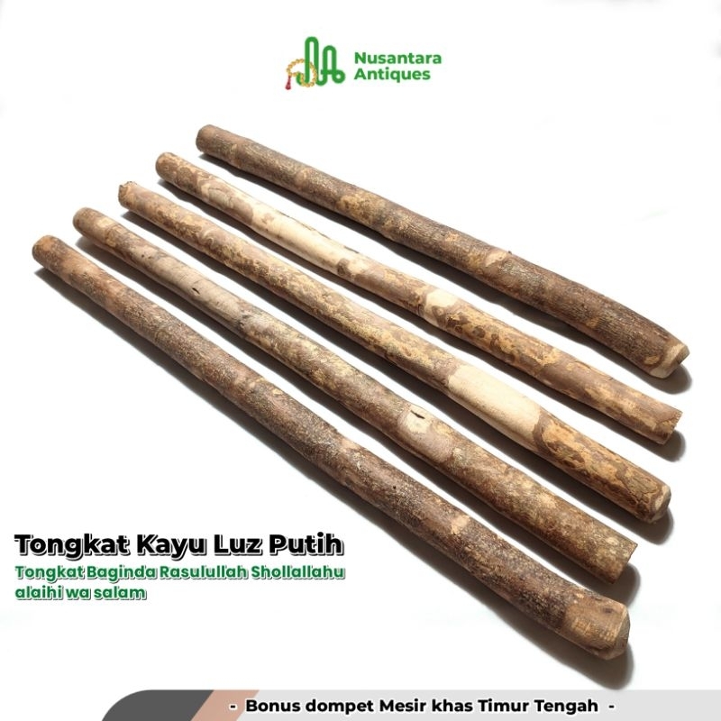 Tongkat Kayu Luz Putih Lus Putih Asli (Jenis Kayu Tongkat Rasulullah)