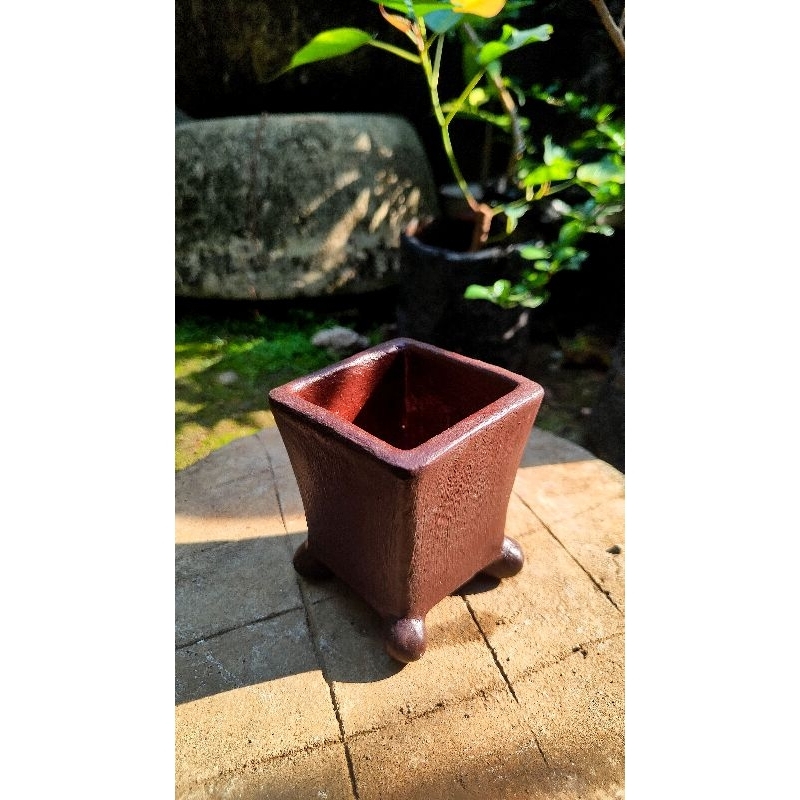 Pot Bonsai Semen Mame Kotak - 01