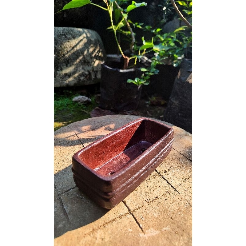 Pot Bonsai Semen Mame Kotak 0-3