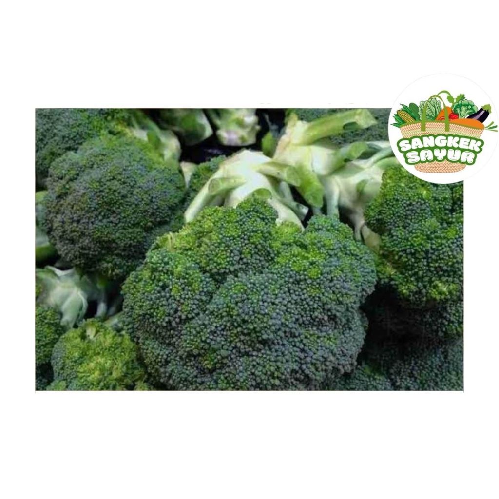 

Brokoli (200-250Gram) - sangkek.sayur Palembang