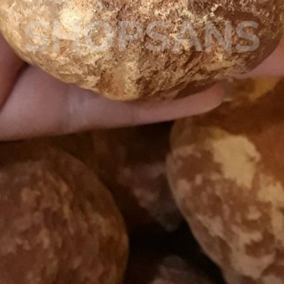 Getah Gambir Besar Herbal