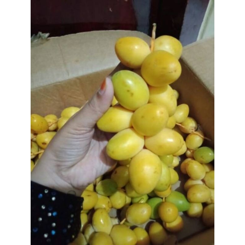 

Kurma Muda Fresh 500 Gram Kuning
