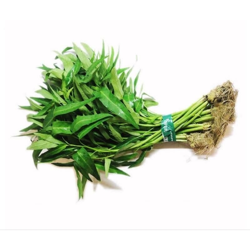 

Daun Kangkung