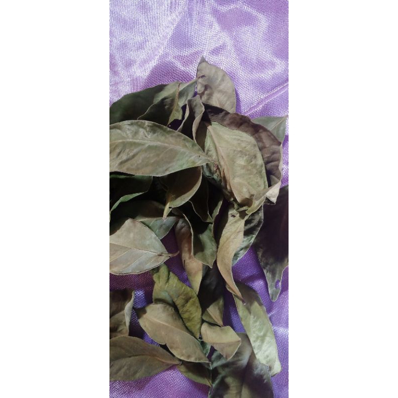 

daun salam kering