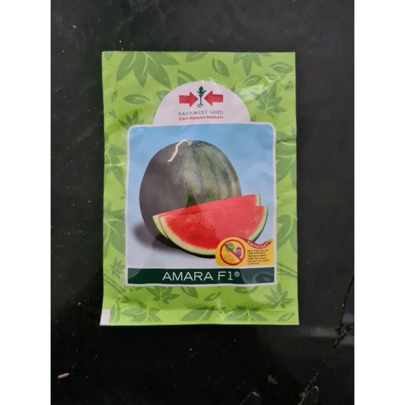 Benih bibit Semangka non biji Amara F1 360 butir
