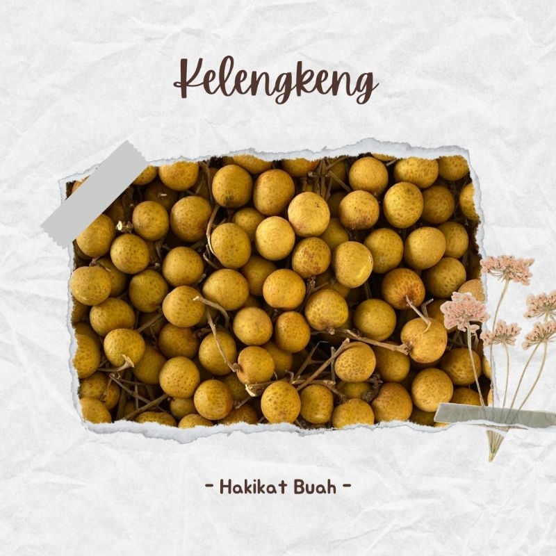 

Kelengkeng / Lengkeng Bangkok Import