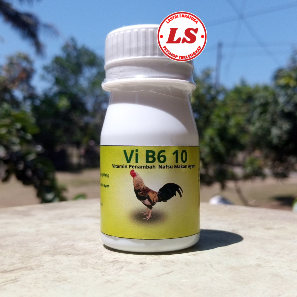 Obat Nafsu Makan Ayam Bangkok B6 isi 50 Butir Nafsu Makan Ayam Botol Vitamin Nafsu Makan Ayam