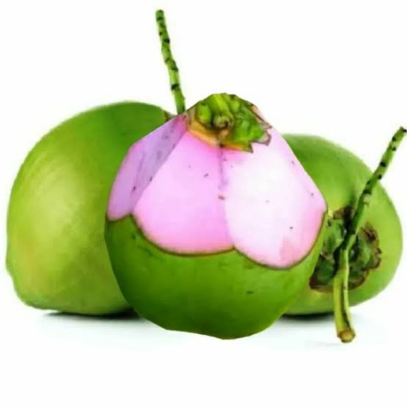 

Degan ijo