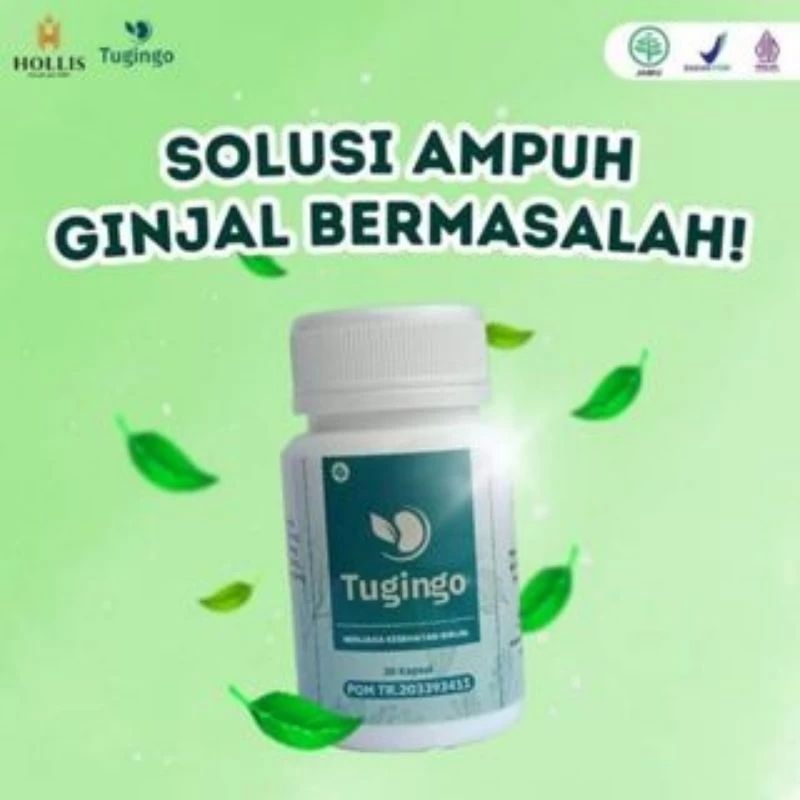 Tugingo Obat Herbal Atasi Batu Ginjal Ginjal Kronis Gagal Ginjal Ginjal Bocor Ginjal Infeksi