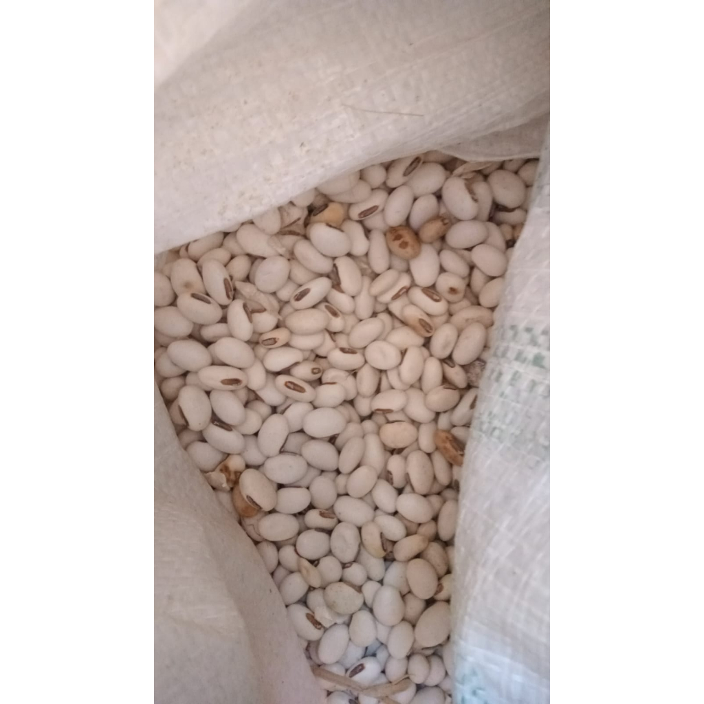 kacang koro mentah wonogiri 500 gram