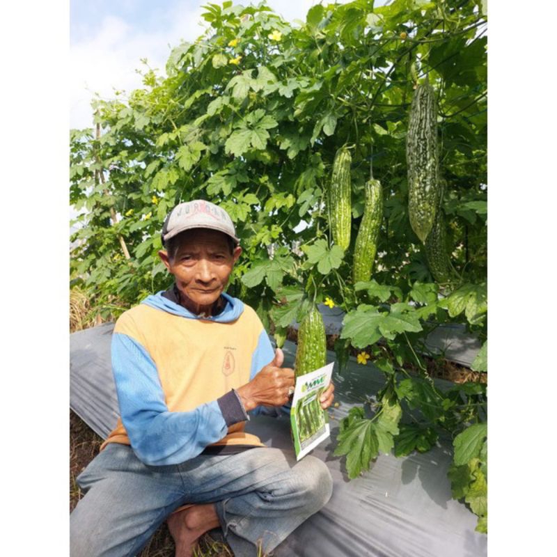 

Benih Paria Pare Jumbo Tanjung 11 F1 isi Benih 10 gram (55-75 Butir) Kadaluarsa. 2025 (Terbaru Berkwalitas)/Termurah/Sangat Tahan Pucuk Daun Kriting /Perawatan Mudah /Tahan simpan kulit hijau/Berbobot buah lebat/Disukai Pasar/100% Ori Pabrik