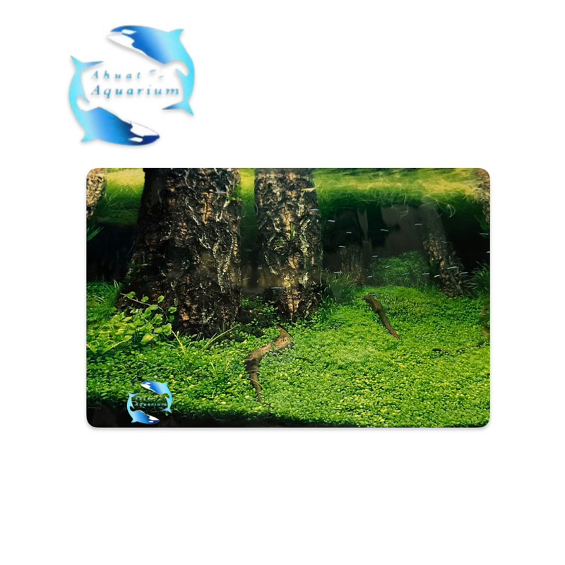 WALLPAPER AQUARIUM 3D TWILIGHT UKURAN 30CM 40 CM BACKGROUND AQUARIUM