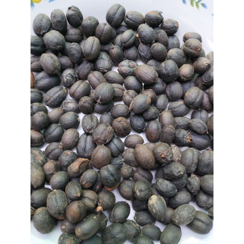

Biji Kopi Arabica