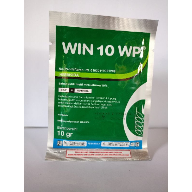 WIN 10 WP 10 gr