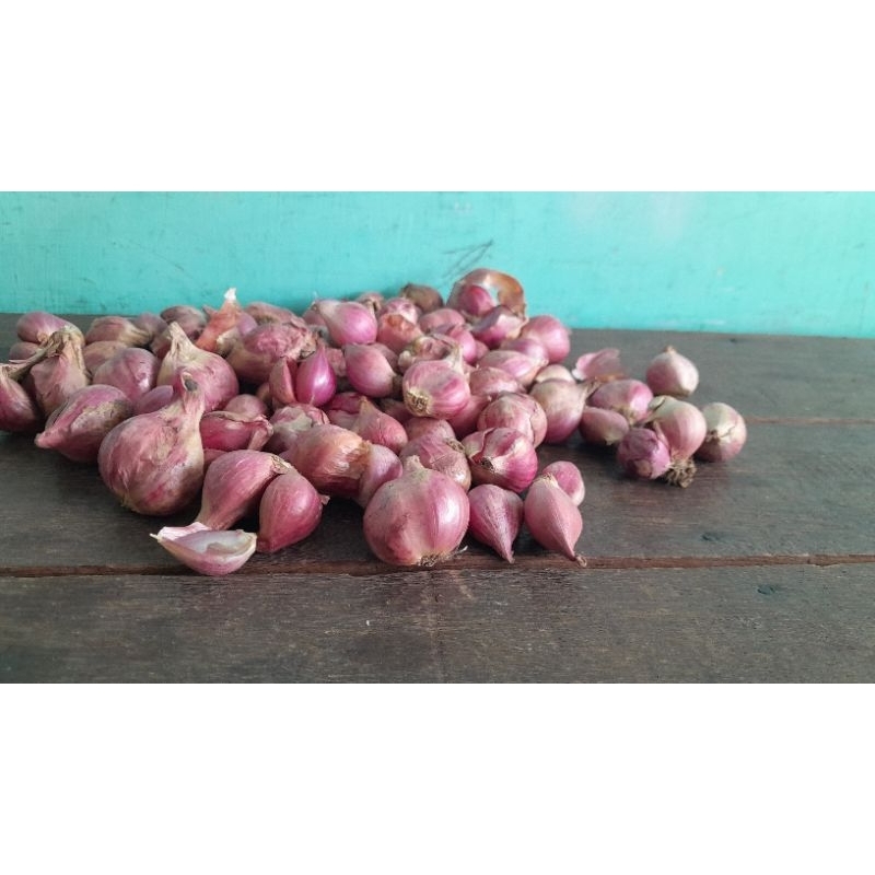 

bawang merah kering