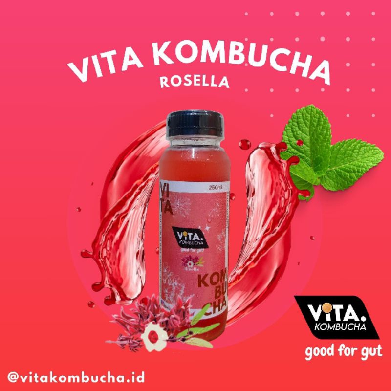 

Vita Kombucha varian Rosella