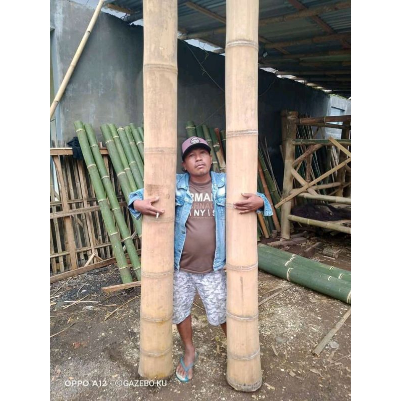 bambu petung oven ukuran 2m