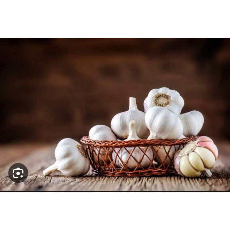 

Bawang Putih | garlic | 1 kg