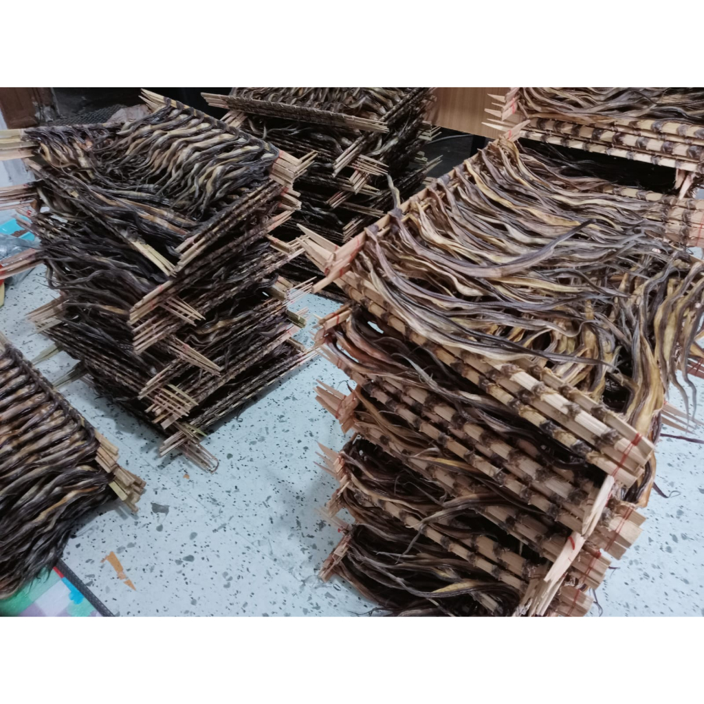 

BELUT KERING BESAR ASLI PAYAKUMBUH ISI 25 EKOR | BELUT KERING MENTAH | Oleh oleh padang