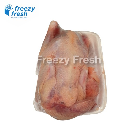 

Ayam Pejantan Premium uk 06-07 per ekor