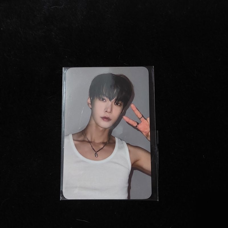 PC PHOTOCARD DOYOUNG BENE EVERLINE DJJ DOJAEJUNG