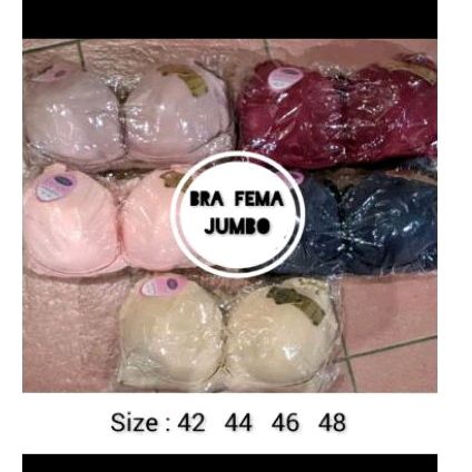 Bra FEMA jumbo polos 4 kait pakaian dalam wanita