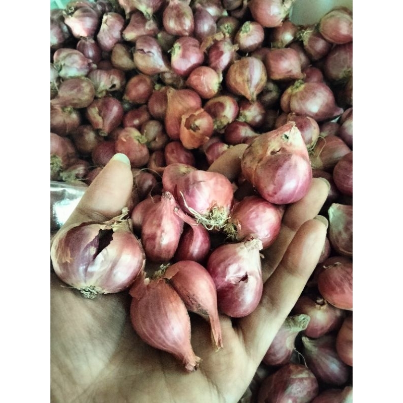 

murah Bawang merah kering bersih kemasan 1kg