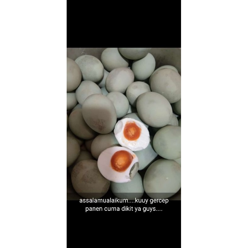 

Telor Asin Mateng