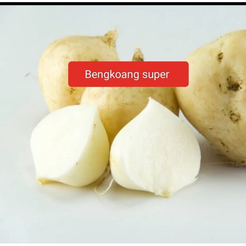 

buah bengkoang super per 1kg