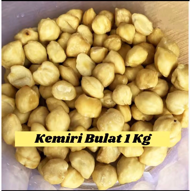 kemiri bulat 1 kg murah kemiri bulat medan kemiri bulat murah