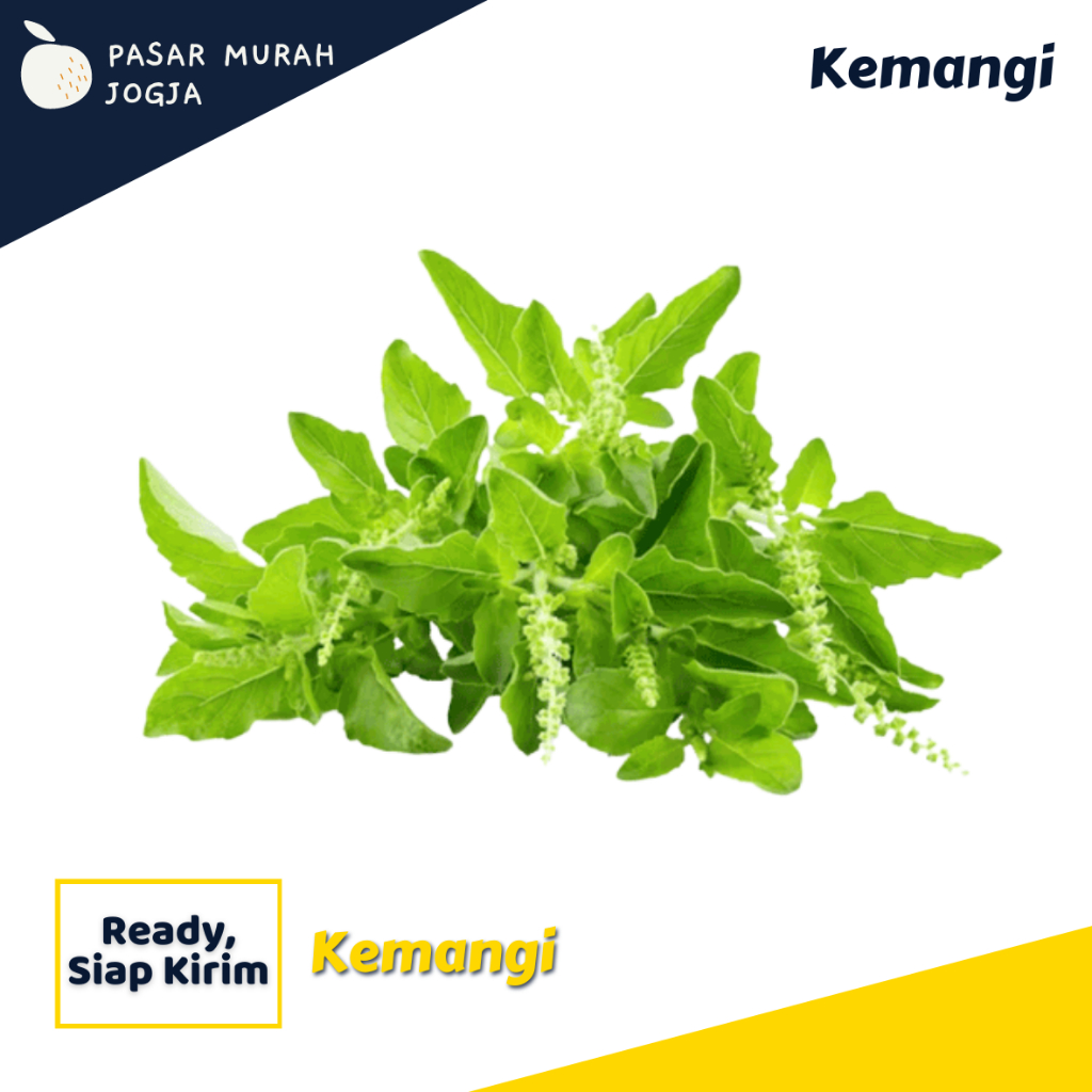 

Daun Kemangi Per Ikat Sayur Segar Pasar Murah Jogja