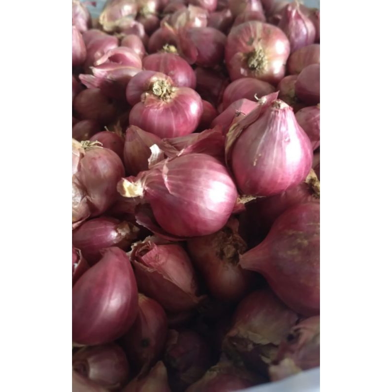 

bawang merah probolinggo 250 gr murah