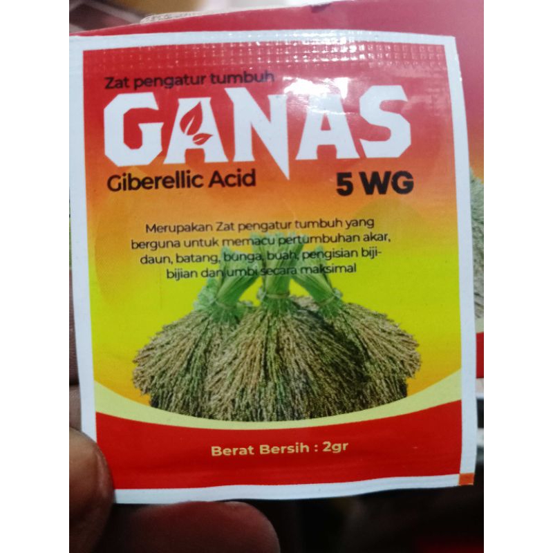 GANAS 5 WG 2 gr|ZPT Fase Vegetatif & Generatif