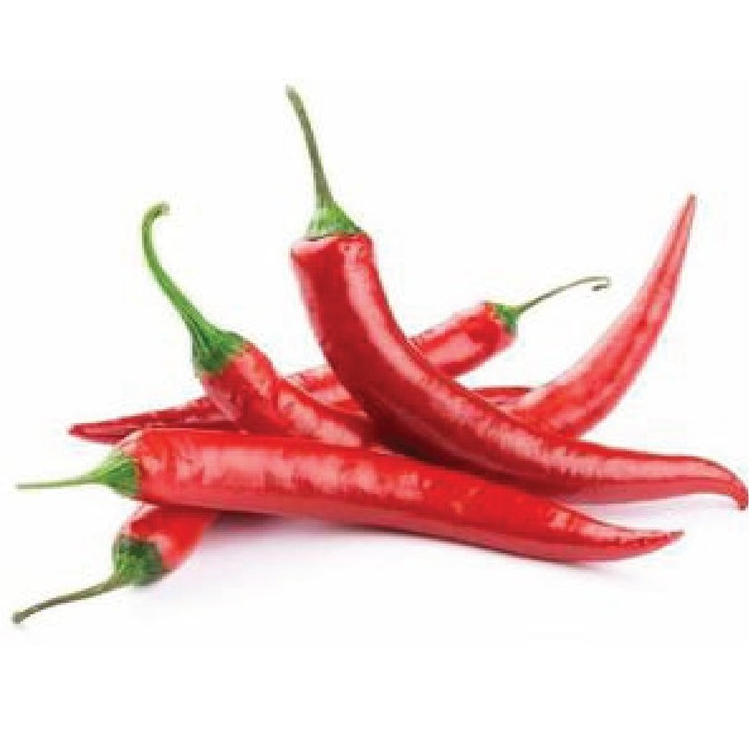 

Cabe Merah Besar 100 gram - 1 Kg Surabaya