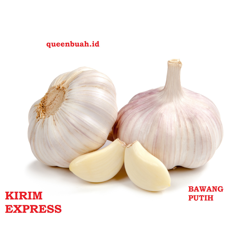 

QUEENBUAH - BAWANG PUTIH HARGA GROSIR SUPER MURAH