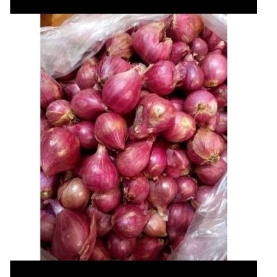 

bawang merah 1kg