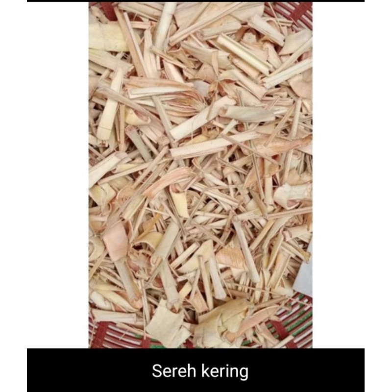 

Sereh serai kering bagus 1kg