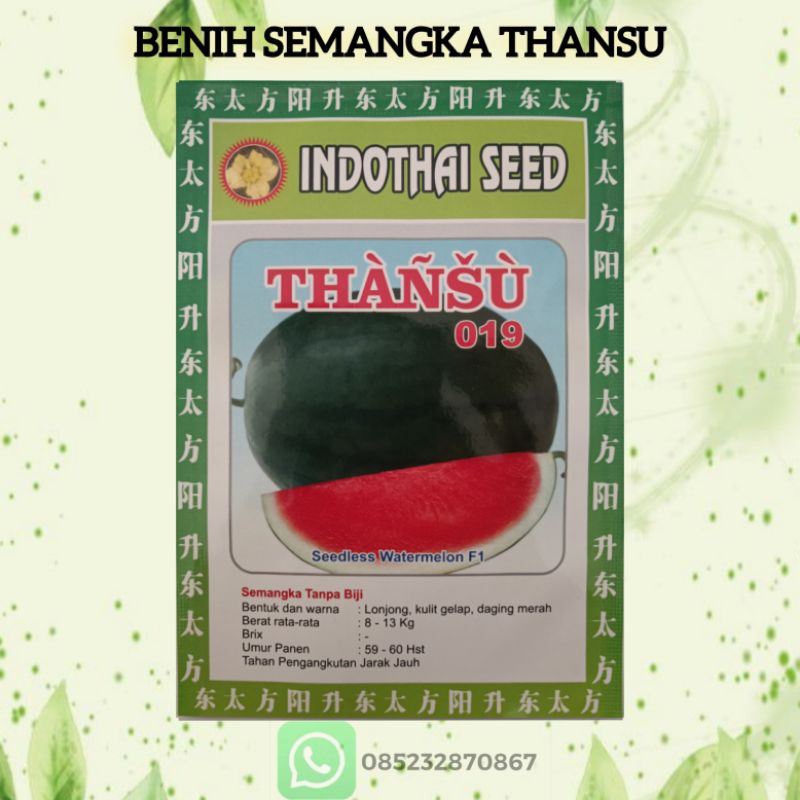 Benih semangka non biji Thansu 019 ORIGINAL / ASLI