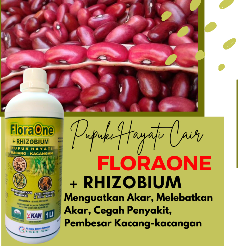 Tricoderma Cair Fungsida Pgpr Rhizobium Floraone 1 L