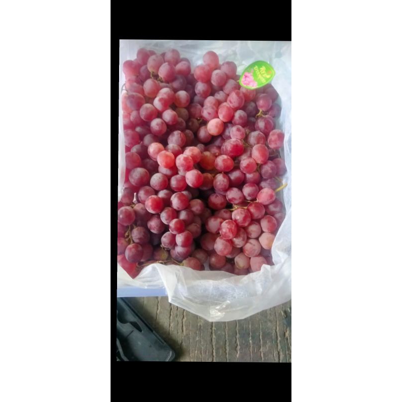 

anggur merah australi manis